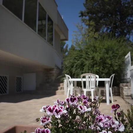 Dei Pini Apartamento Cozze